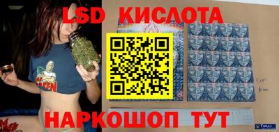 стафф Будённовск