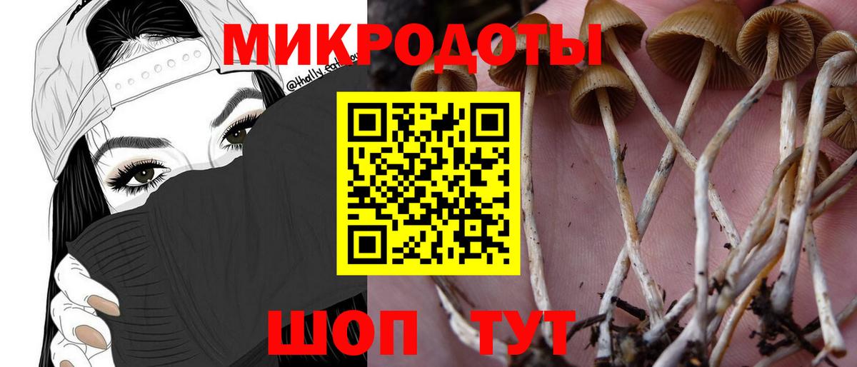 Псилоцибиновые грибы ЛСД  Вход с VPN  Югорск  Галлюциногенные грибы Cubensis 